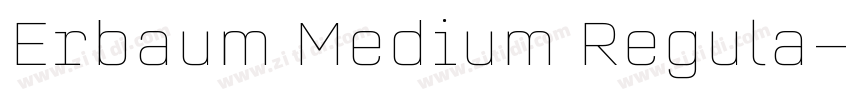 Erbaum Medium Regula字体转换